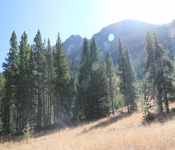 2020 10 05 Montana 024